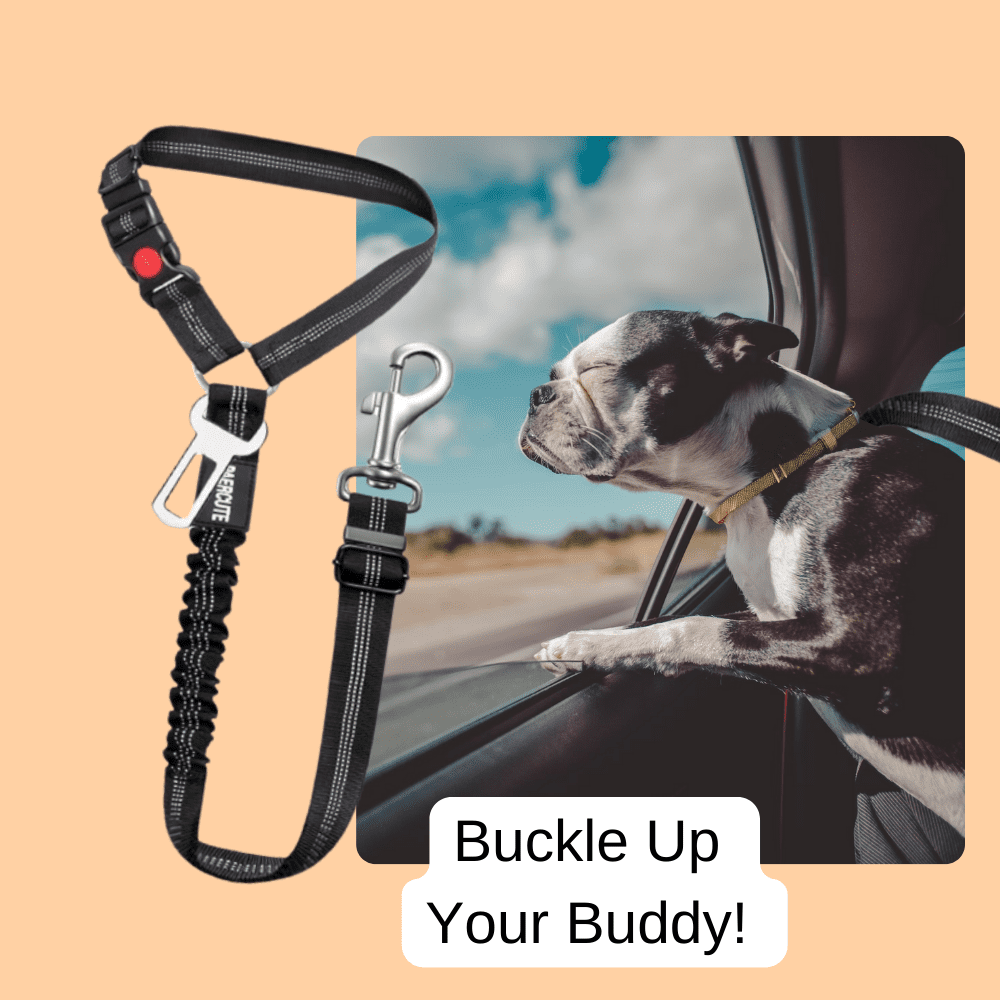 PupBuckle™ 2-in-1 Safety Dog Harness and Leash