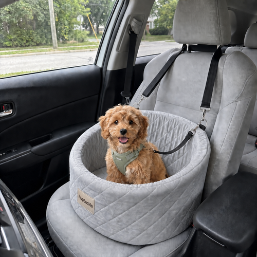 PupBuckle dog car seat in grey
